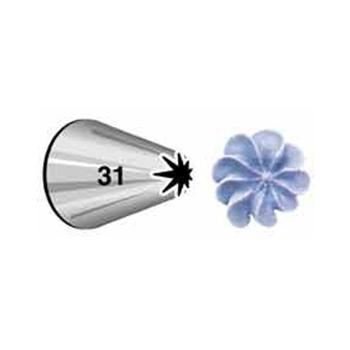 צנטר 31