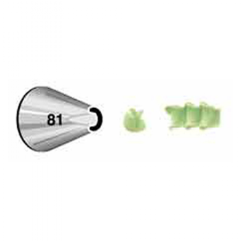 צנטר 81
