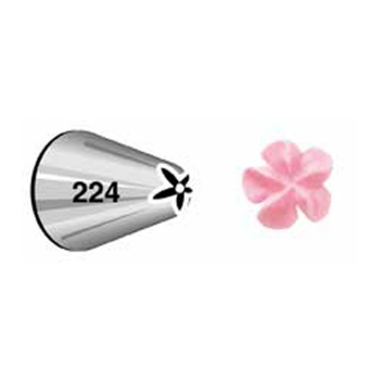 צנטר 224