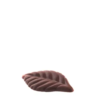 עלה שוקולד 50 מ"מ - קישוט מריר - 10 יח' - מספר 39